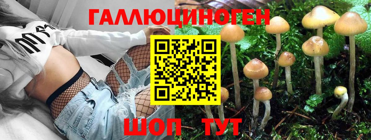 Псилоцибиновые грибы ЛСД  Вход с VPN  где купить   Балтийск 