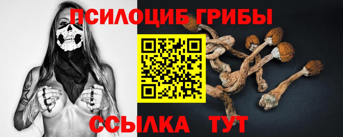 Псилоцибиновые грибы прущие грибы Балтийск